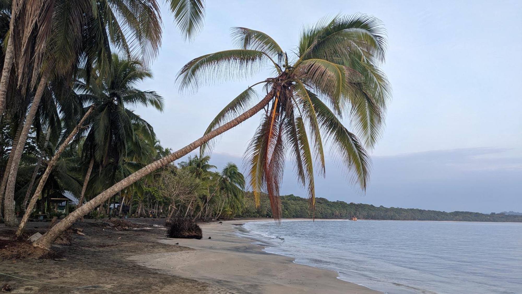 Casas Del Mar Villa Manzanillo  Eksteriør bilde
